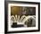 Long Exposure on Fountain, Charleston, South Carolina, USA-Adam Jones-Framed Photographic Print