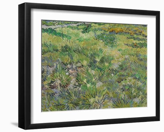 Long Grass with Butterflies, 1890-Vincent van Gogh-Framed Giclee Print