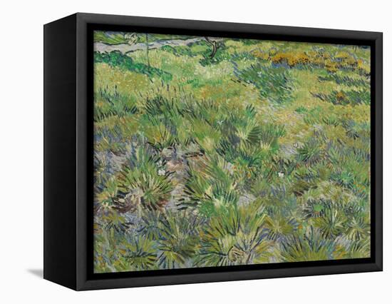 Long Grass with Butterflies, 1890-Vincent van Gogh-Framed Premier Image Canvas