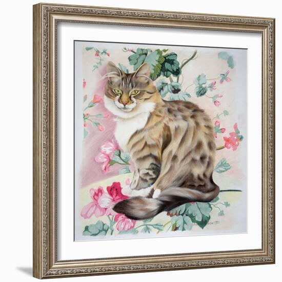 Long Hair Tabby-Anne Robinson-Framed Giclee Print