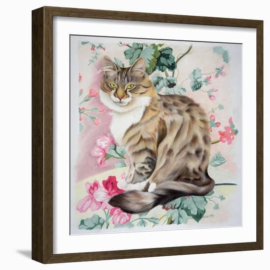 Long Hair Tabby-Anne Robinson-Framed Giclee Print