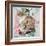 Long Hair Tabby-Anne Robinson-Framed Giclee Print