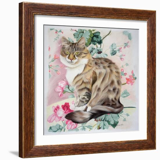 Long Hair Tabby-Anne Robinson-Framed Giclee Print