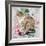 Long Hair Tabby-Anne Robinson-Framed Giclee Print