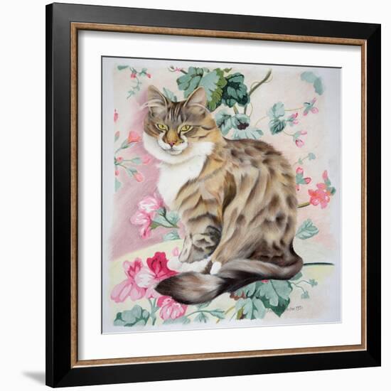 Long Hair Tabby-Anne Robinson-Framed Giclee Print