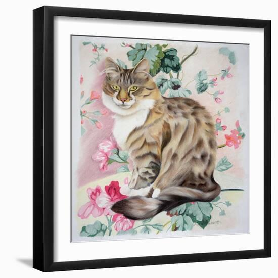 Long Hair Tabby-Anne Robinson-Framed Giclee Print