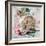 Long Hair Tabby-Anne Robinson-Framed Giclee Print