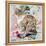 Long Hair Tabby-Anne Robinson-Framed Premier Image Canvas