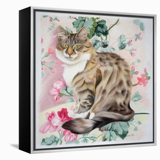 Long Hair Tabby-Anne Robinson-Framed Premier Image Canvas