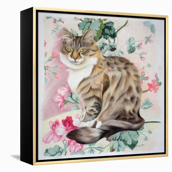 Long Hair Tabby-Anne Robinson-Framed Premier Image Canvas