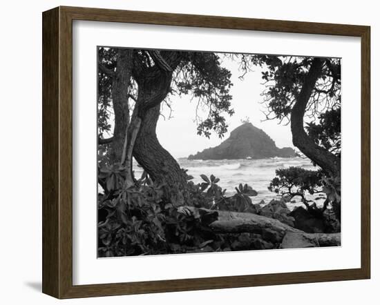 Long Hanna Drive, Maui, Hawaii 00-Monte Nagler-Framed Photographic Print