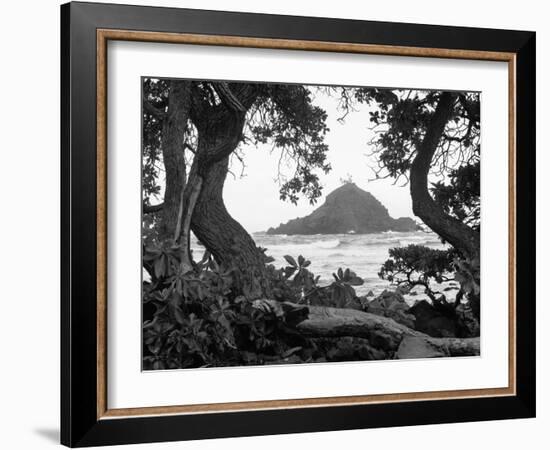 Long Hanna Drive, Maui, Hawaii 00-Monte Nagler-Framed Photographic Print