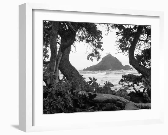 Long Hanna Drive, Maui, Hawaii 00-Monte Nagler-Framed Photographic Print