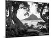 Long Hanna Drive, Maui, Hawaii 00-Monte Nagler-Mounted Photographic Print
