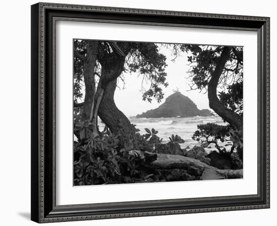 Long Hanna Drive, Maui, Hawaii 00-Monte Nagler-Framed Photographic Print