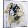 Long Horn Sheep-Lou Gibbs-Mounted Giclee Print