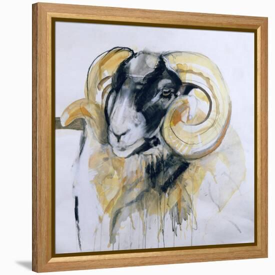Long Horn Sheep-Lou Gibbs-Framed Premier Image Canvas