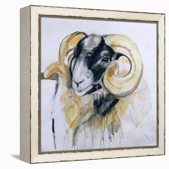 Long Horn Sheep-Lou Gibbs-Framed Premier Image Canvas