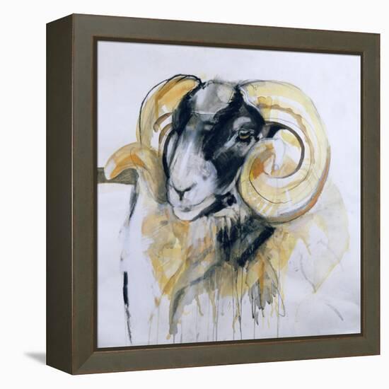 Long Horn Sheep-Lou Gibbs-Framed Premier Image Canvas