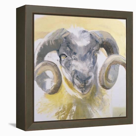 Long Horn Sheep-Lou Gibbs-Framed Premier Image Canvas