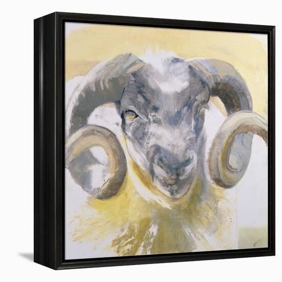 Long Horn Sheep-Lou Gibbs-Framed Premier Image Canvas