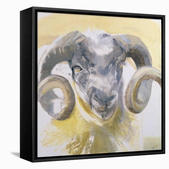 Long Horn Sheep-Lou Gibbs-Framed Premier Image Canvas