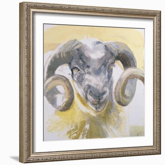 Long Horn Sheep-Lou Gibbs-Framed Giclee Print