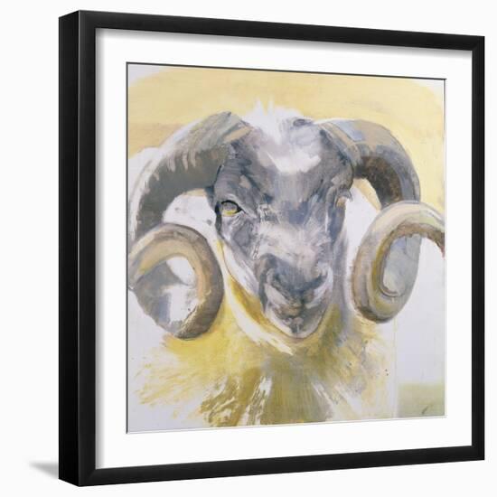 Long Horn Sheep-Lou Gibbs-Framed Giclee Print