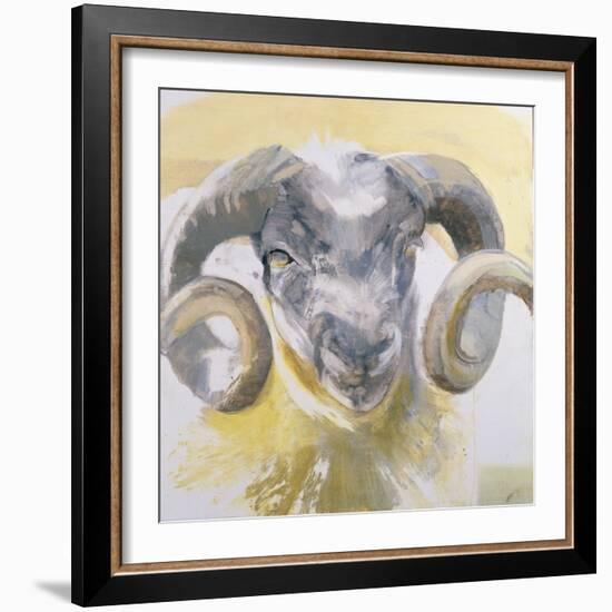 Long Horn Sheep-Lou Gibbs-Framed Giclee Print