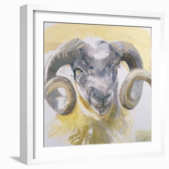 Long Horn Sheep-Lou Gibbs-Framed Giclee Print