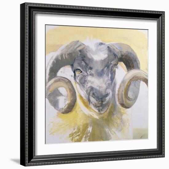 Long Horn Sheep-Lou Gibbs-Framed Giclee Print