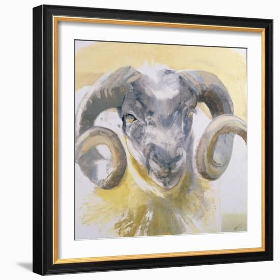 Long Horn Sheep-Lou Gibbs-Framed Giclee Print