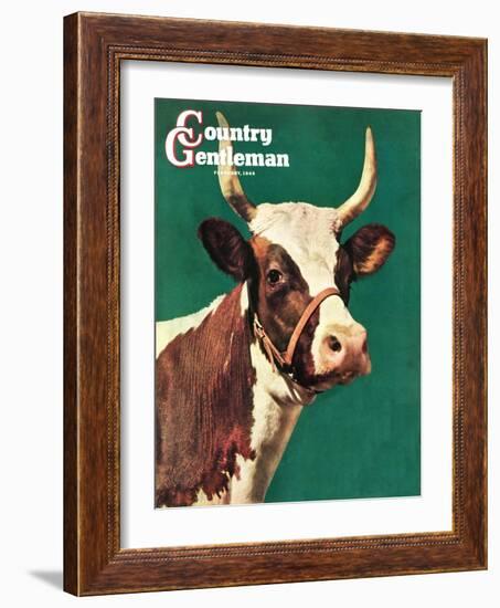 "Long-Horned Cow," Country Gentleman Cover, February 1, 1945-F.P. Sherry-Framed Giclee Print