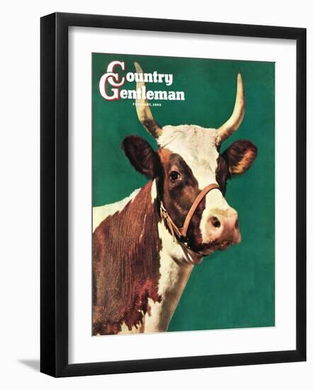 "Long-Horned Cow," Country Gentleman Cover, February 1, 1945-F.P. Sherry-Framed Giclee Print