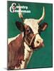 "Long-Horned Cow," Country Gentleman Cover, February 1, 1945-F.P. Sherry-Mounted Giclee Print