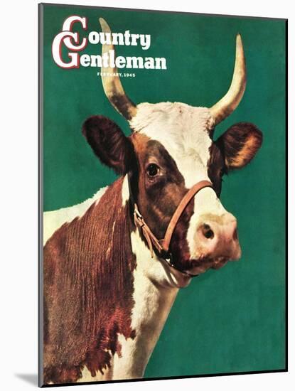 "Long-Horned Cow," Country Gentleman Cover, February 1, 1945-F.P. Sherry-Mounted Giclee Print