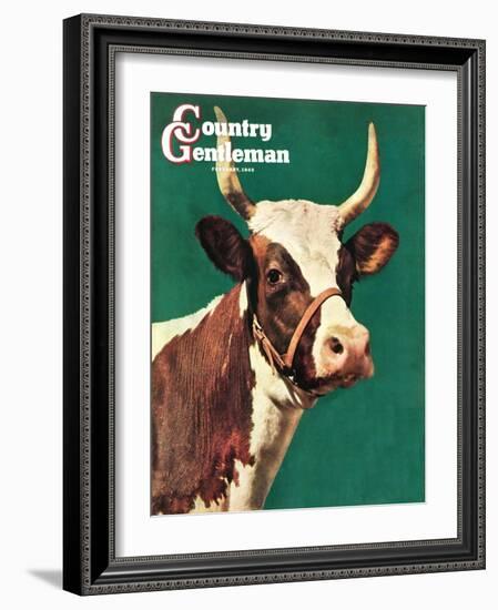 "Long-Horned Cow," Country Gentleman Cover, February 1, 1945-F.P. Sherry-Framed Giclee Print