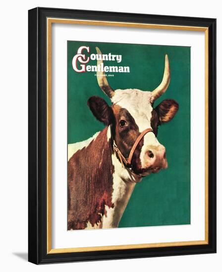 "Long-Horned Cow," Country Gentleman Cover, February 1, 1945-F.P. Sherry-Framed Giclee Print