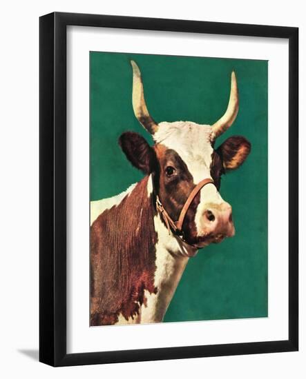 "Long-Horned Cow,"February 1, 1945-F.P. Sherry-Framed Giclee Print