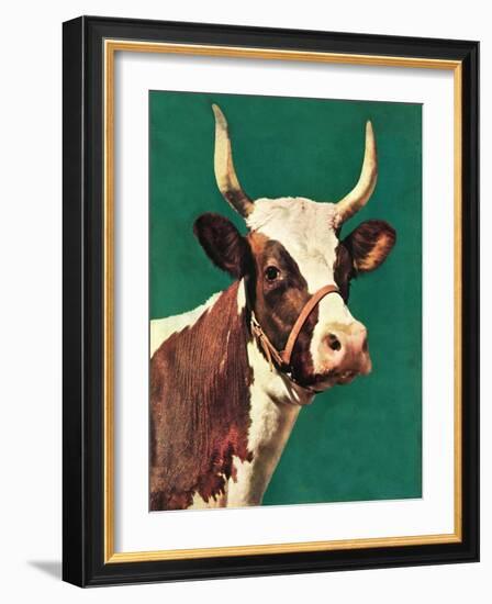 "Long-Horned Cow,"February 1, 1945-F.P. Sherry-Framed Giclee Print