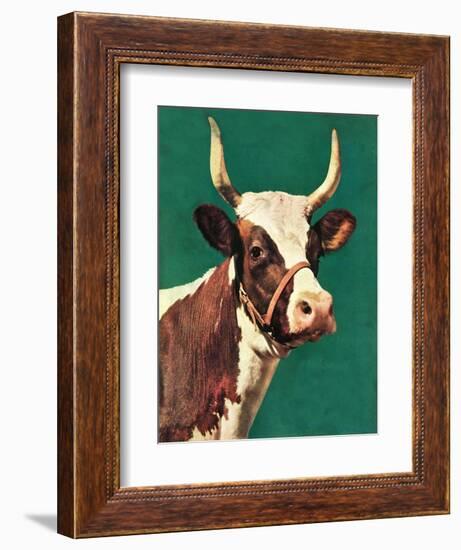 "Long-Horned Cow,"February 1, 1945-F.P. Sherry-Framed Giclee Print