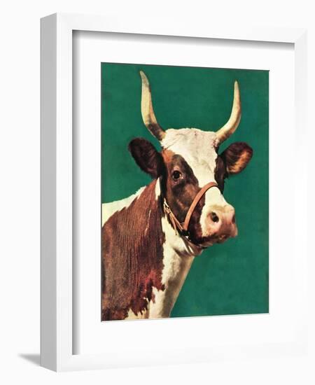 "Long-Horned Cow,"February 1, 1945-F.P. Sherry-Framed Giclee Print