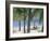 Long Island, North-East Coast, Antigua, Caribbean-J P De Manne-Framed Photographic Print