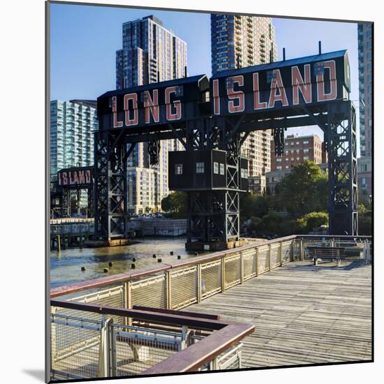 Long Island, Queens, New York City, New York, United States of America, North America-Gavin Hellier-Mounted Photographic Print
