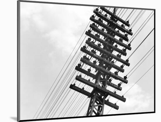 Long Island Railroad Communication Lines-null-Mounted Photographic Print