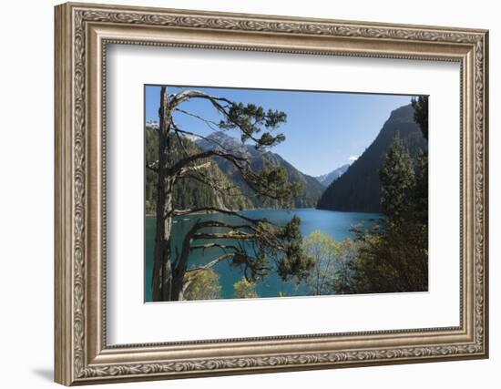 Long Lake, Jiuzhaigou National Park, UNESCO World Heritage Site, Sichuan Province, China, Asia-G & M Therin-Weise-Framed Photographic Print