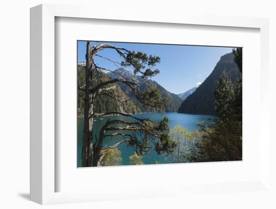 Long Lake, Jiuzhaigou National Park, UNESCO World Heritage Site, Sichuan Province, China, Asia-G & M Therin-Weise-Framed Photographic Print