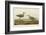 Long-Legged Sandpiper-John James Audubon-Framed Art Print