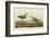 Long-Legged Sandpiper-John James Audubon-Framed Art Print