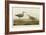 Long-Legged Sandpiper-John James Audubon-Framed Giclee Print